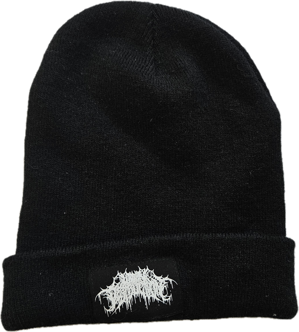 WD Logo Beanie – Within Destruction